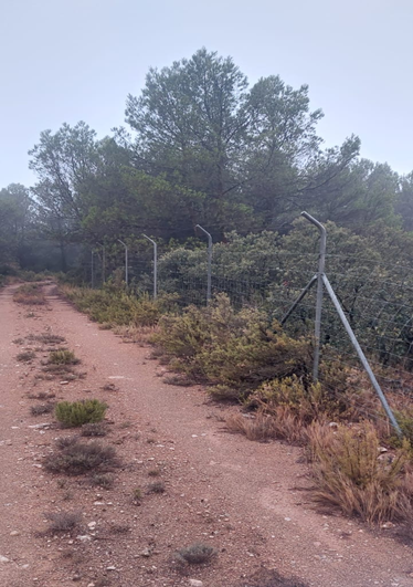 Ecologistas en Acción de la Manchuela (Cuenca y Albacete), vuelve a solicitar la retirada total de un vallado cinegético dentro de monte de Utilidad Pública, en el TM de Alpera