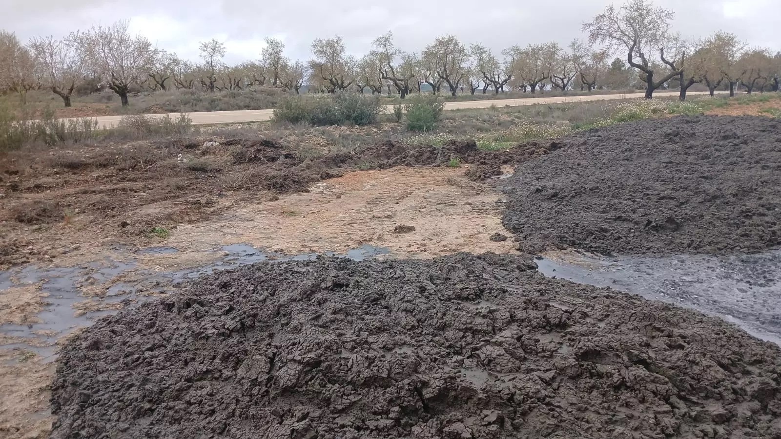 Denuncia de vertidos ilegales en Camporrobles - artículo en Levante-Mercantil Valenciano