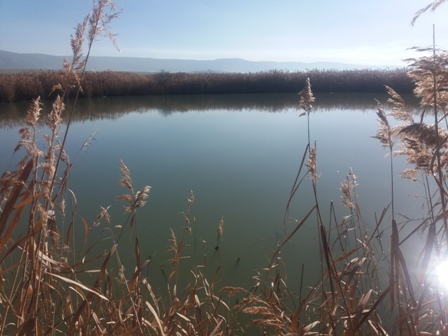 Nota de Prensa; El Tribunal Superior de Justicia de Castilla-La Mancha toma declaración a testigos y peritos en relación con el Parque Empresarial de los Palancares en Cuenca