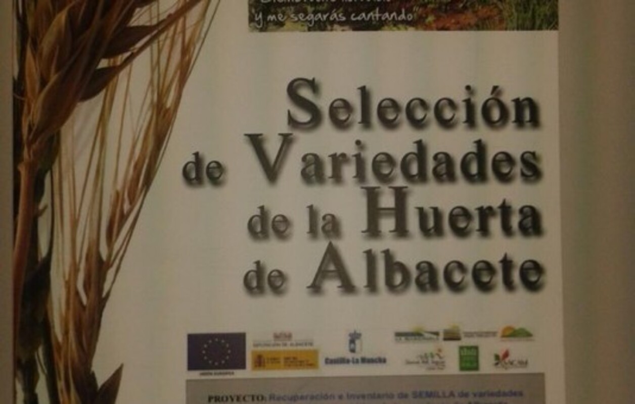 Selección de variedades de la huerta de Albacete